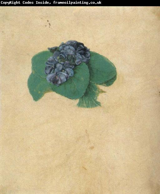 Albrecht Durer A Nosegay of Violets